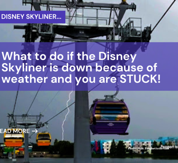 What to do when the Skyliner is GROUNDED for lightning…